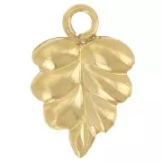 10x7mm Charm leaf - Gold filled x1