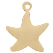 14x12mm Starfish pendant - Gold filled x1|raw }}