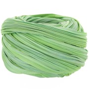 Silk ribbon Shibori Spring Green Borealis x10cm