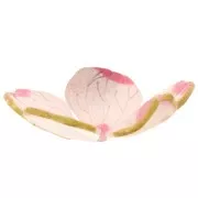 26mm acrylic flower pendant with gold trim - Light pink x1