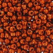 Miyuki Seed beads 11/0 1073 - Galvanized Burnt Orange x8g