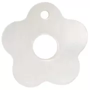 19mm Mother-of-pearl hollow flower pendants - Natural x5