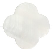 Flower beads  Mother-of-Pearl Star 17 mm Natural x10|raw }}