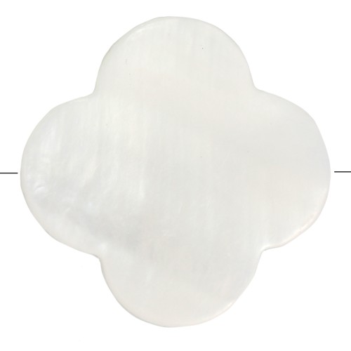 Flower beads  Mother-of-Pearl Star 17 mm Natural x10