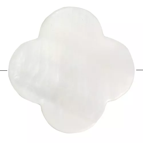 Flower beads  Mother-of-Pearl Star 17 mm Natural x10