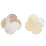 Flower beads  Mother-of-Pearl Star 17 mm Natural x10