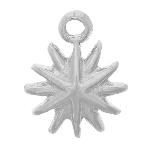 7mm 304L stainless steel North star charm x1
