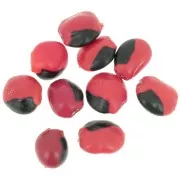 10mm South American huaeruro seeds - Natural x 10