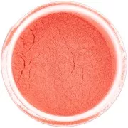 Noctilucent Powder Pigment for Resin - Rico Design - Neon Red x3g