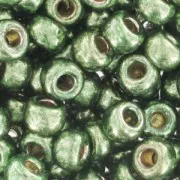 Rocaille Miyuki Duracoat 8/0 4215 - Galvanized Sea Green x8g