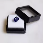 9x7mm Oval Iolite - 1.73 cts x1