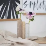 Fimo Effect Paste 57gr - Botanical Effect Seaweed (n°070) x1