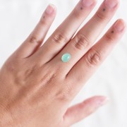 9.2x7.1mm Oval Chrysoprase - 2.08 cts x1