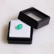 8x6.3mm Pear Chrysoprase - 1.52 cts x1