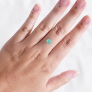 5.8mm Round Chrysoprase - 1.13 cts x1