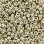 Miyuki Duracoat 8/0 Seed beads 4201 - Galvanized Silver x100g