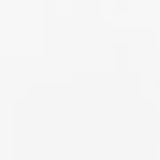 Silk Paper 50x70cm white x5 sheets