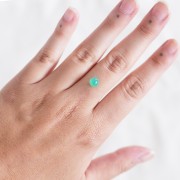 6.2mm Round Chrysoprase - 1.36 cts x1