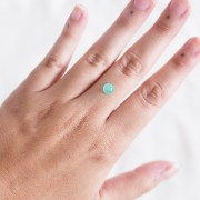 6.2mm Round Chrysoprase - 1.40 cts x1