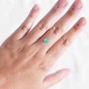 6.1mm Round Chrysoprase - 1.31 cts x1
