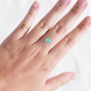 6.2mm Round Chrysoprase - 1.35 cts x1