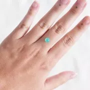 6.2mm Round Chrysoprase - 1.35 cts x1