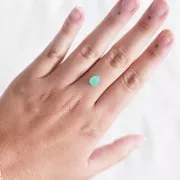 8.2x6.2mm Pear Chrysoprase - 1.45 cts x1