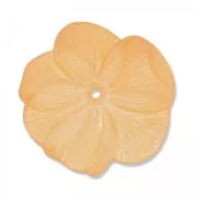Flower pansy 30 mm Peach Frosted