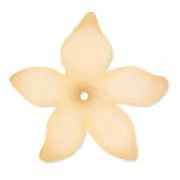 Flower 27mm Peach Frosted