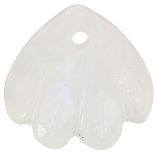 12mm gemstone shell Sequin - Moonstone x1