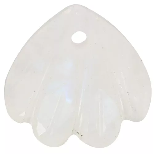 12mm gemstone shell Sequin - Moonstone x1
