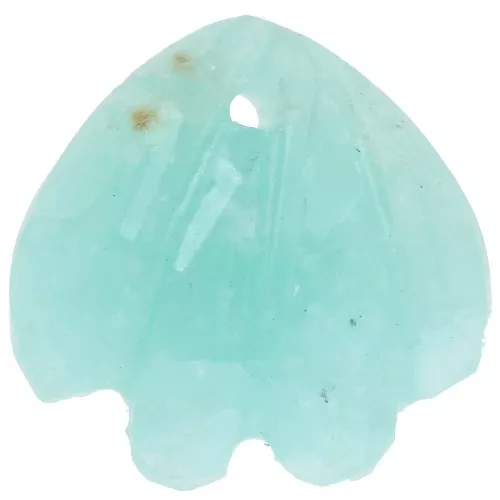 12mm gemstone shell Sequin - Amazonite x1