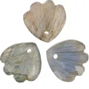 12mm gemstone shell Sequin - Labradorite x1