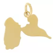 14x19mm 316L stainless steel Guadeloupe pendant - Gold x1