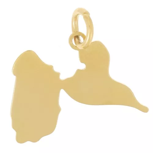 14x19mm 316L stainless steel Guadeloupe pendant - Gold x1