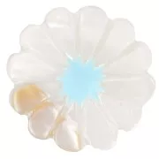 12mm mother-of-pearl daisy flower bead - White - Blue x1