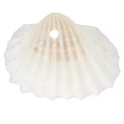 16x20mm Shell pendants - Natural x4