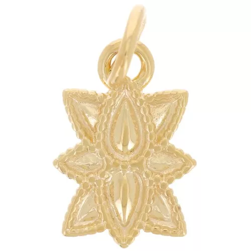 14x9mm Ethnic leaf pendant - 3-micron gold-plated x1