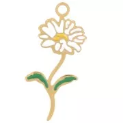  Fleurs de naissance