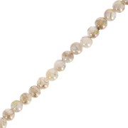 4mm AB-effect mother-of-pearl round beads - Gold Tone x37cm|raw }}