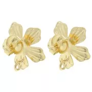 16mm Flower EarStuds with Open Hoop - Fine Gold-plated x2