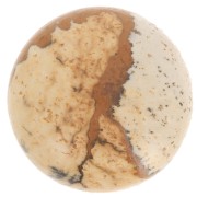 Round cabochon 16mm Picture Jasper|raw }}
