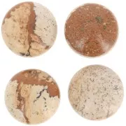 Round cabochon 16mm Picture Jasper