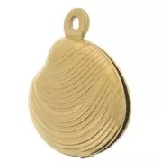 14x13mm Stainless Steel 303L Shell Mould Charm - Gold x1