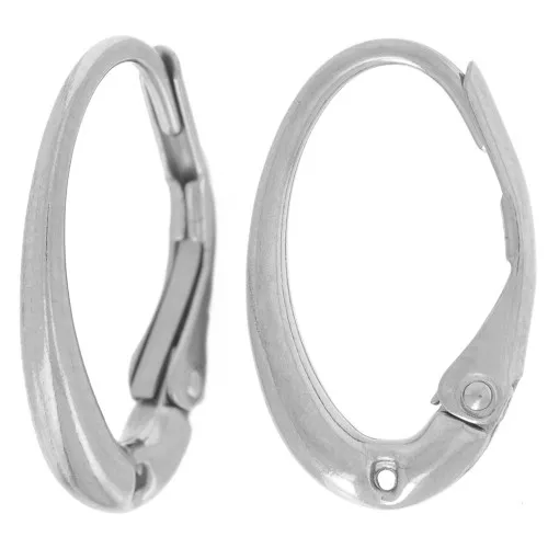 15x9mm Stainless Steel 304L Leverback Earrings with one hole x2