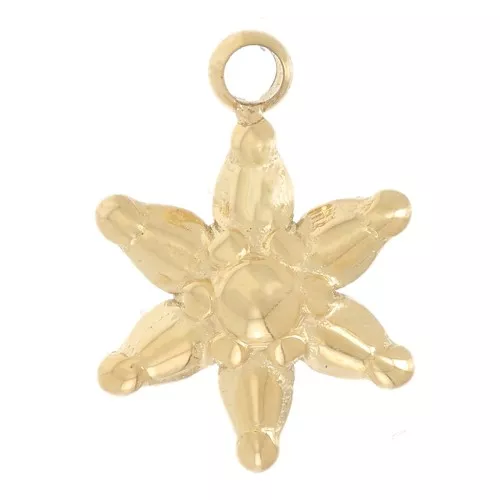 10x7mm Stainless steel 304L Worked star charm - Gold x1