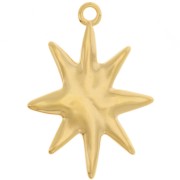 36.5x26mm Star pendant - Fine gold plated x1|raw }}