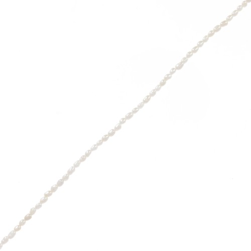 3x2mm Freshwater beads rice grain - Grade AA White x40cm