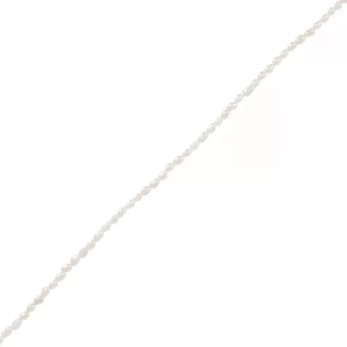 3x2mm Freshwater beads rice grain - Grade AA White x40cm
