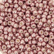 Seed beads Toho 8/0 TO8R552 - Fairy Wings Galvanized x8g